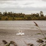 Uit & Thuis: leuke activiteiten voor de maand mei