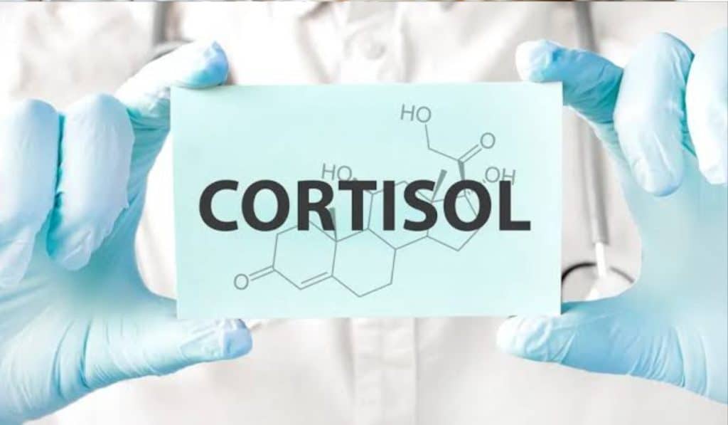 Cortisol symptomen: alles over cortisol balans en cortisol en slaap